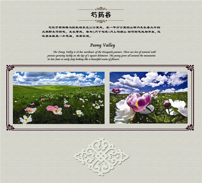 乌拉盖芍药谷