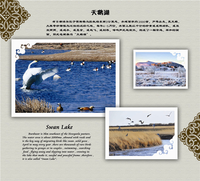 乌拉盖天鹅湖