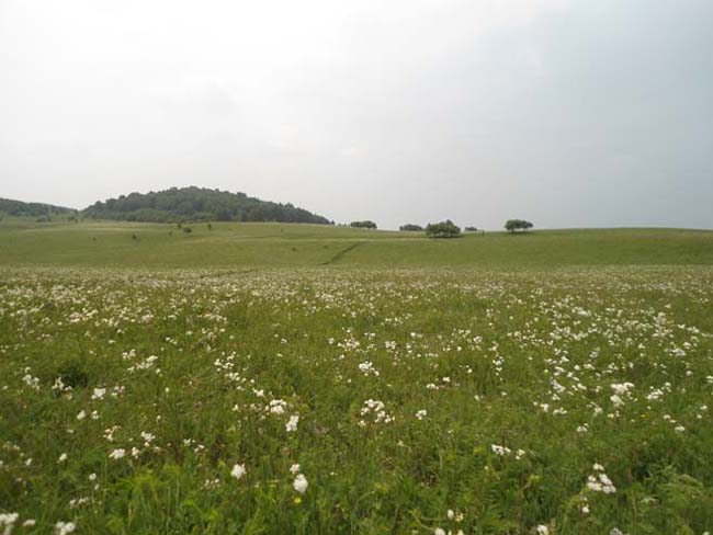 坝上毕业旅游