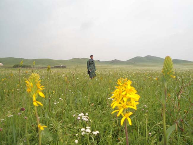 坝上毕业旅游