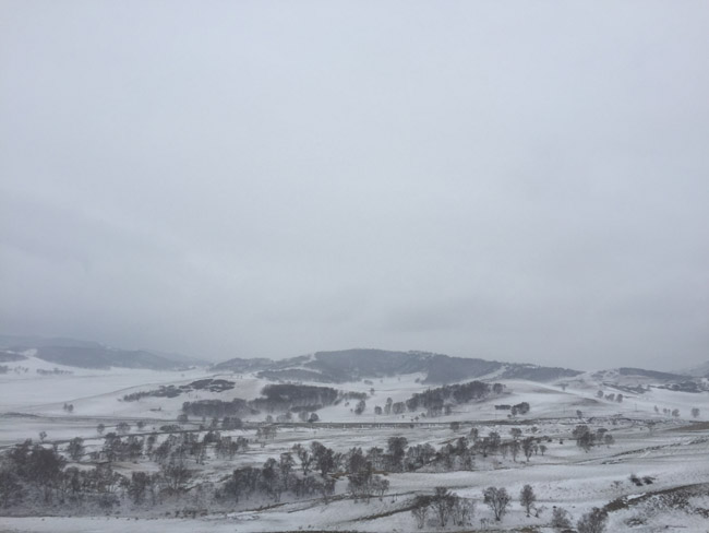 木兰围场雪景