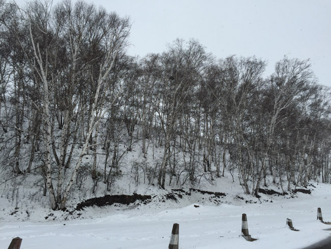 木兰围场雪景