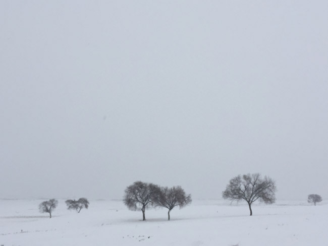 坝上5月下雪