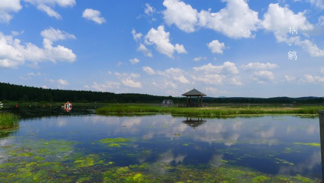 木兰围场自由行