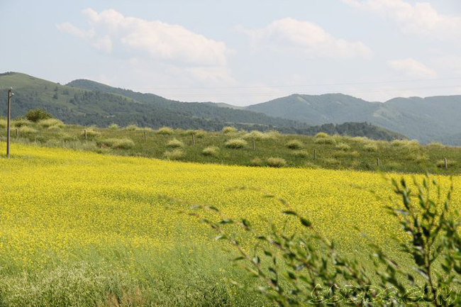 木兰围场自助游