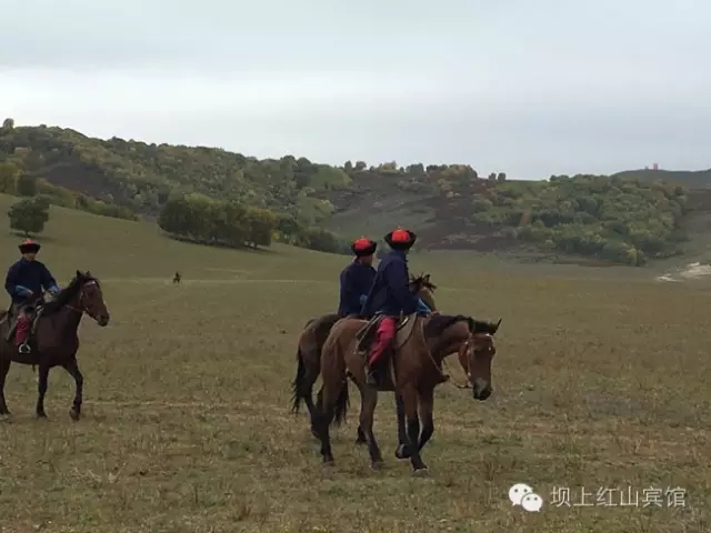 坝上如懿传外景地